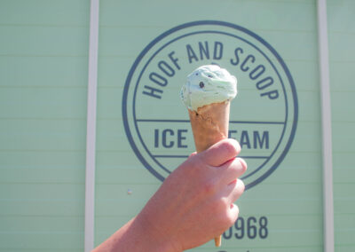 Mint Chocolate Chip Waffle Cone held infront of Hoof and Scoop Ice Cream Company logo